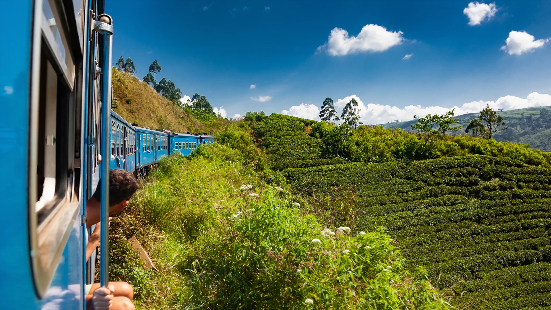 Scenic hill country train passing tea plantations between Kandy and Nuwara Eliya
