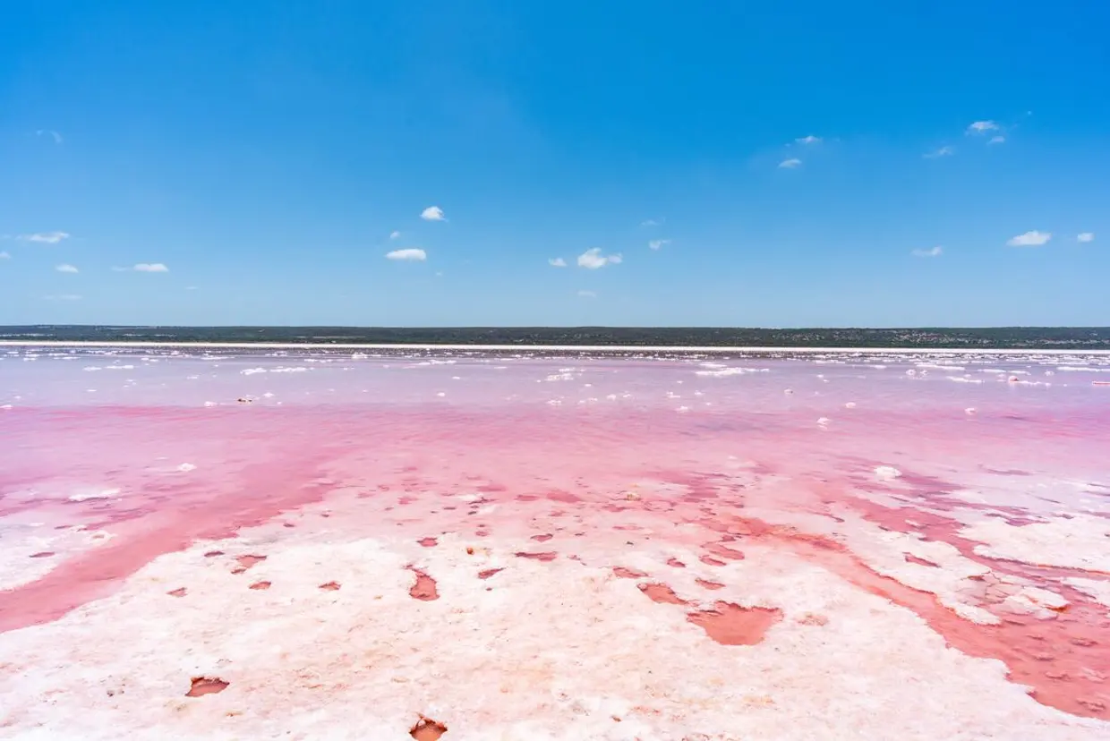 See Western Australia in pink